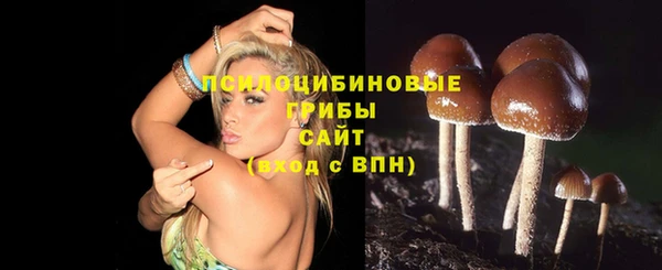 эйфоретик Беломорск