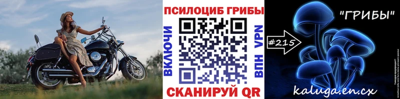 Галлюциногенные грибы Psilocybe  дарнет шоп  blacksprut зеркало  Буйнакск 